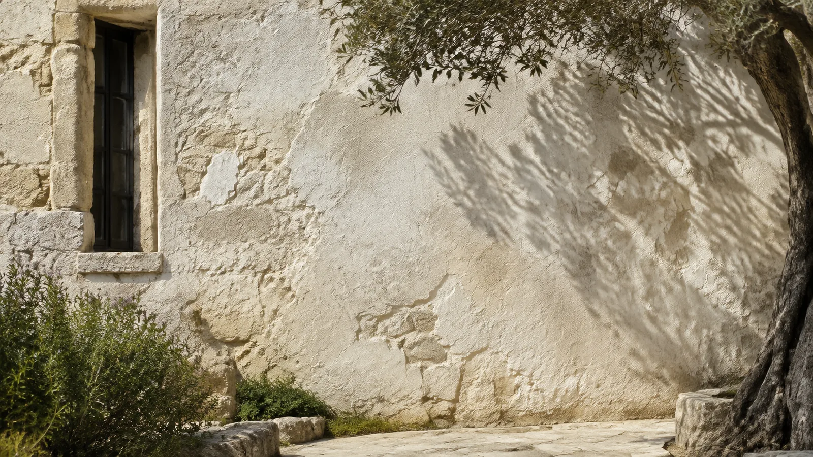 Ασβεστωμένη πρόσοψη με σκιές φύλλων ελιάς